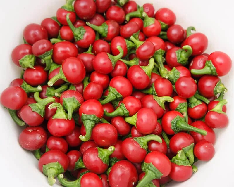 Острый круглый перец фото Купить семена Перец острый Hot pepper Cherry Stuffer Hybrid в Москве: доставка с