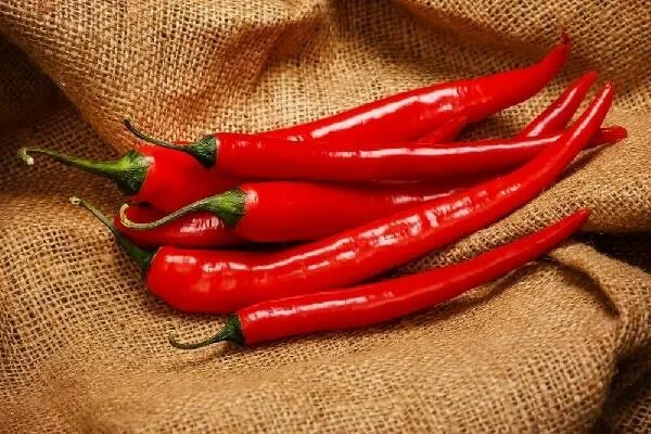 Острый перец фото Купить перец острый в Сарапуле с доставкой - База "Богатырь"