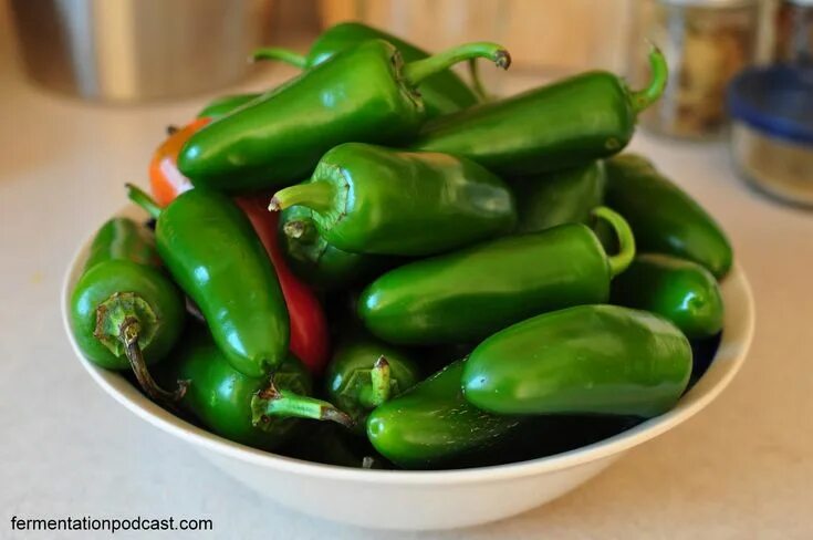 Острый перец халапеньо фото What to do with jalapenos and ideas using fermentation FermentationPodcast.com S
