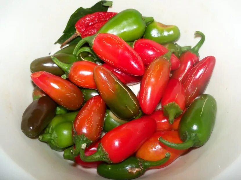 Острый перец халапеньо фото Купить семена Перец острый Hot pepper Tam Mild Jalapeno в Москве: доставка семян