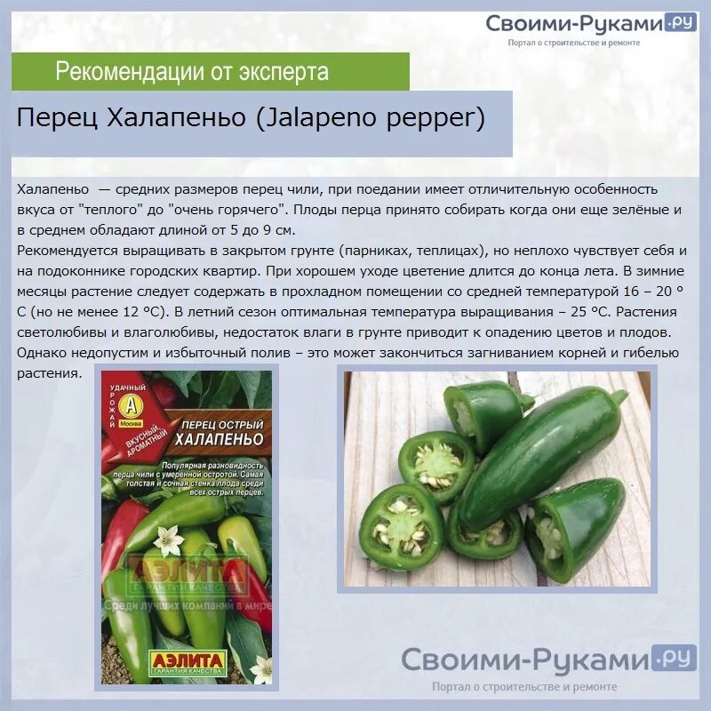 Острый перец холопения фото и описание Перец халапеньо где растет eCookie.ru
