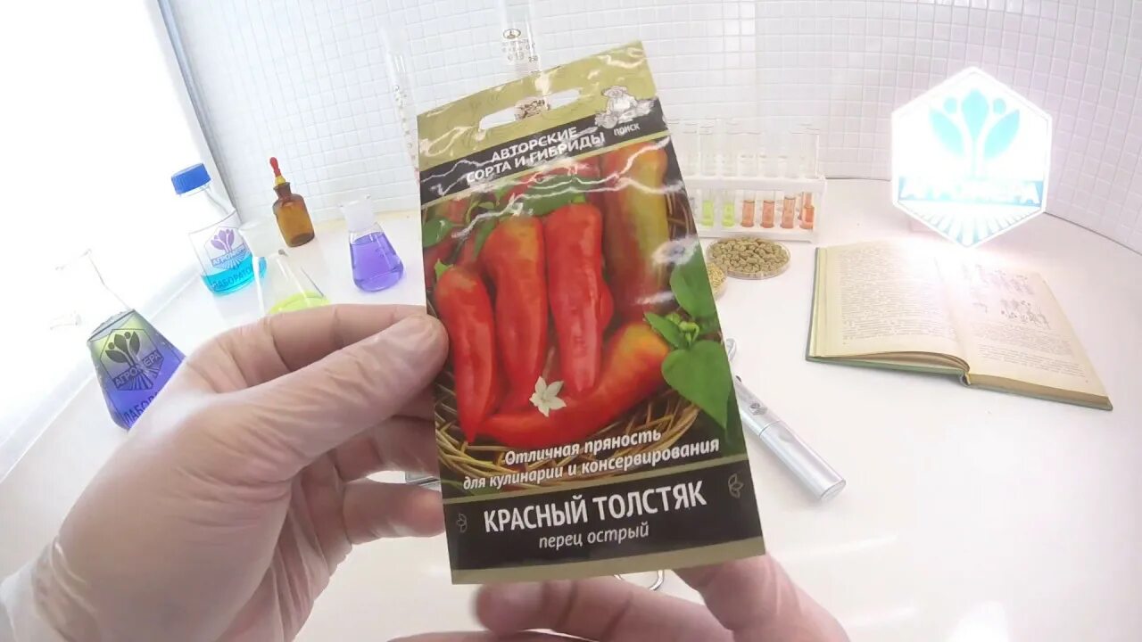 Острый перец звонок отзывы фото Перец острый Красный Толстяк. Поиск - YouTube