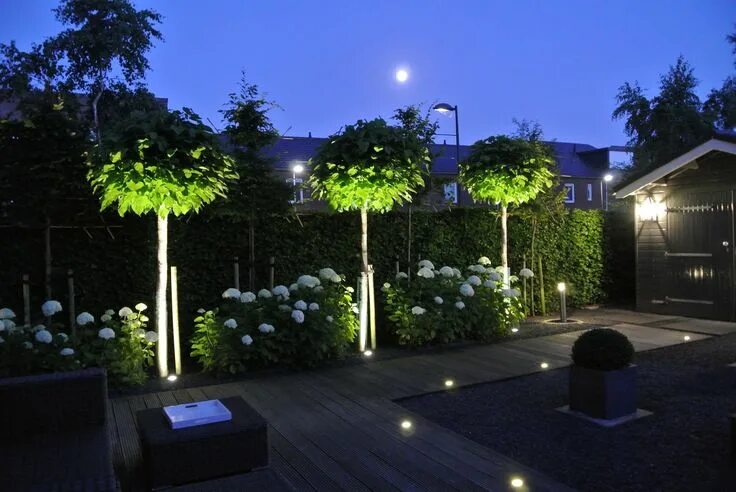 Освещение сада фото Pin on Tuin moodboard Outdoor gardens design, Garden landscape design, Garden de