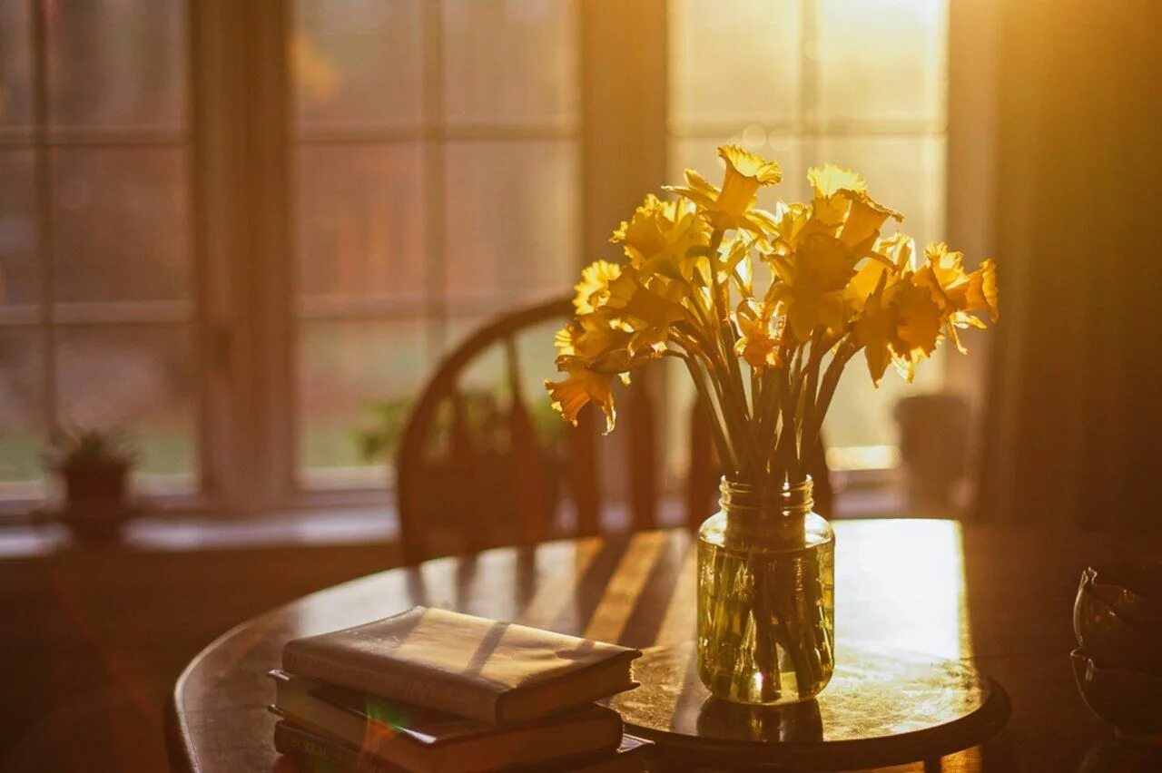 Освещенная солнцем фото MORE MUSIC Morning light, Light and shadow, Photography