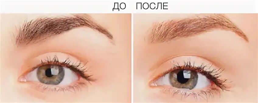 Осветление бровей фото до и после Как осветлить брови - BorodaDeda.ru