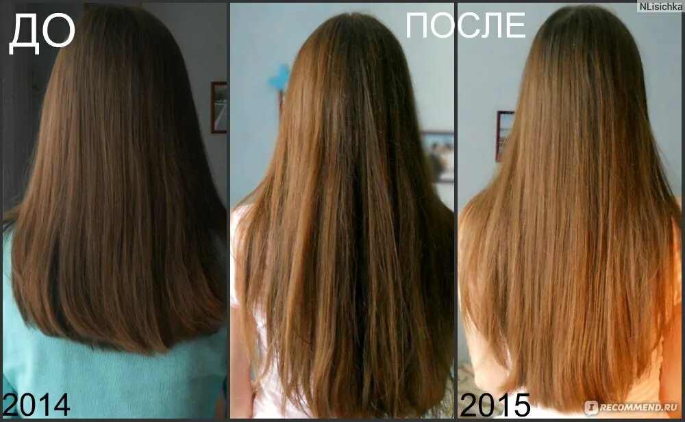 Осветление волос фото до и после Лекарственные растения Ромашка аптечная - "Как я с помощью РОМАШКИ осветлила сво