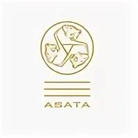 От асата 14 й комплекс 6а фото ASATA X YANKEE BRIDOV 2024 ASATA ® ВКонтакте