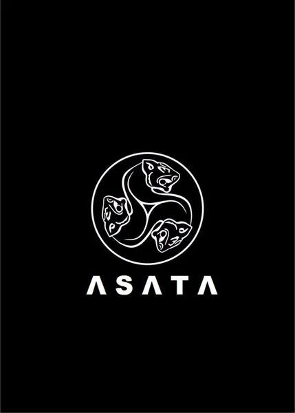 От асата 14 й комплекс 6а фото Наклейка на авто "Asata channel/Борода/асата ченел", 14*16см , цвет белый - купи