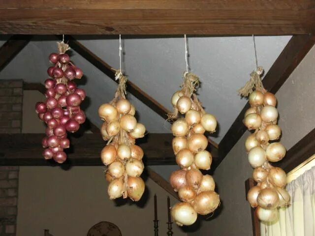 Оцените лук в шарагу фото Food Storage - Onions Food storage, Food prep storage, Emergency preparedness fo