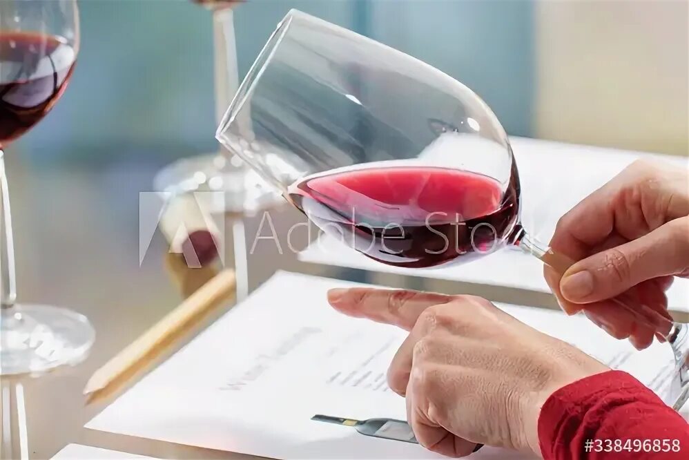 Оценка вина онлайн по фото Wine steward evaluating red wine density. фотография Stock Adobe Stock