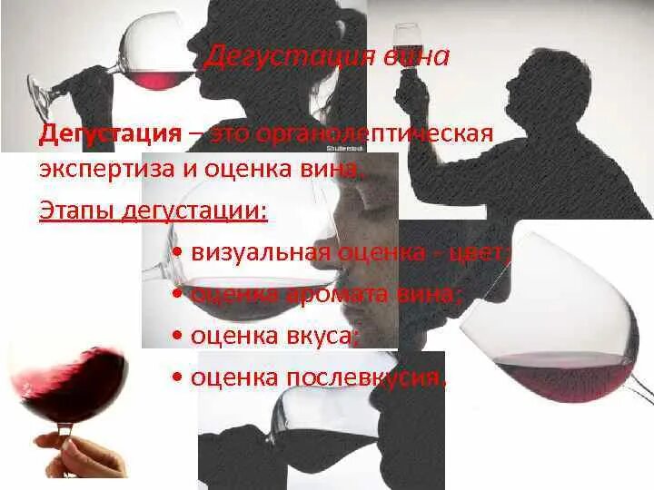Оценка вина по фото Оценка вина фото - Coffeebull.ru