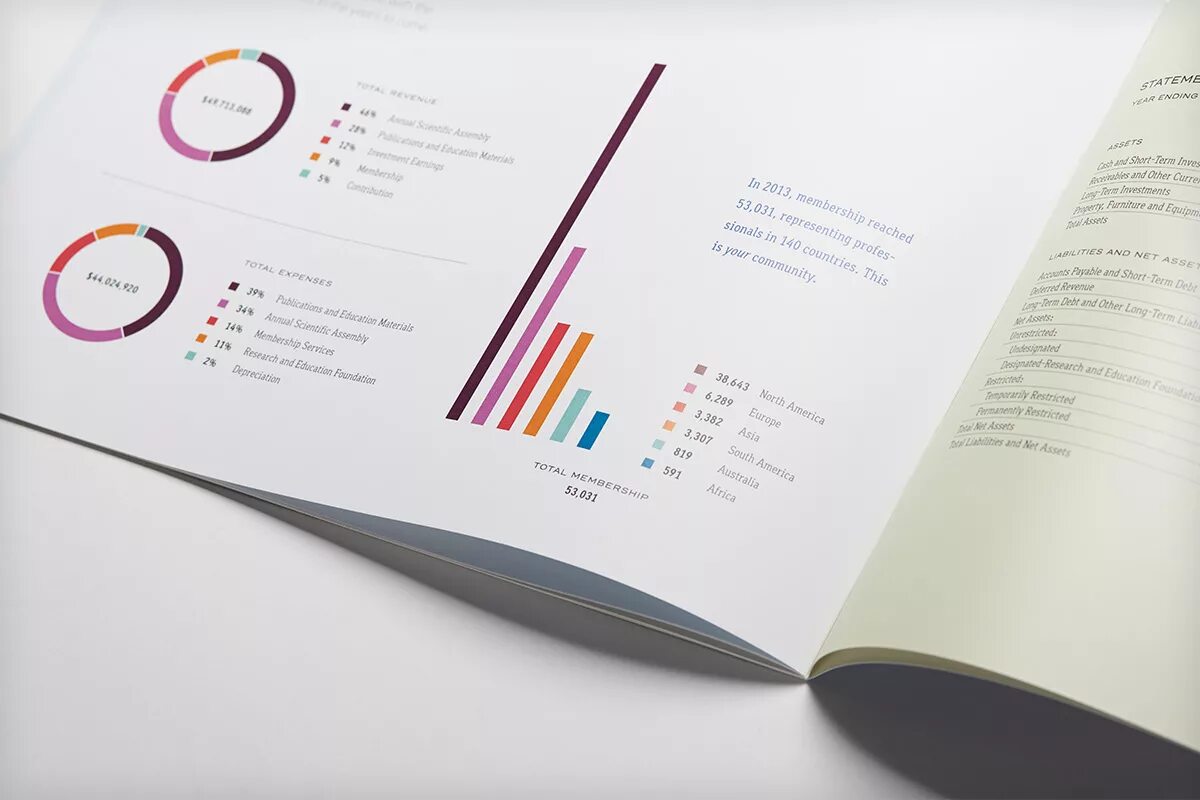 Отчет по дизайн проекту Michael Stanits - Annual Report Design
