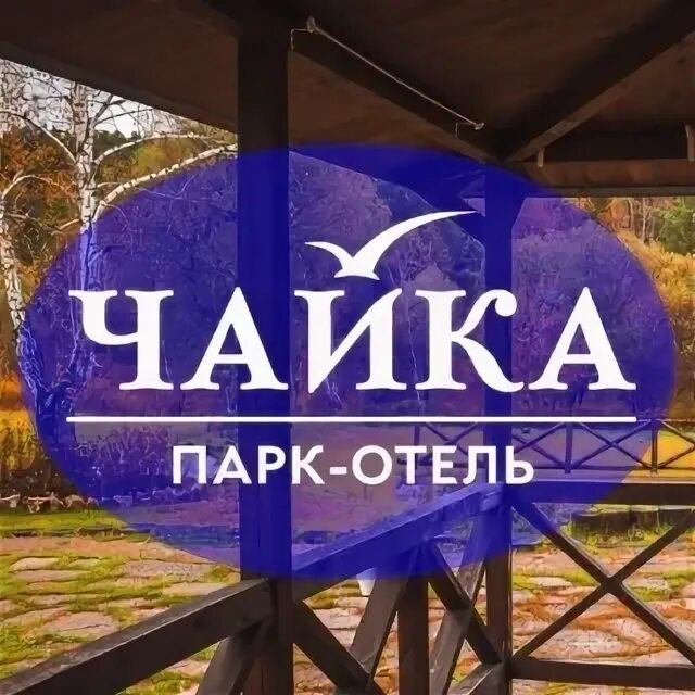 Отель чайка в барнауле фото Цифровая артель "Школьный театр"