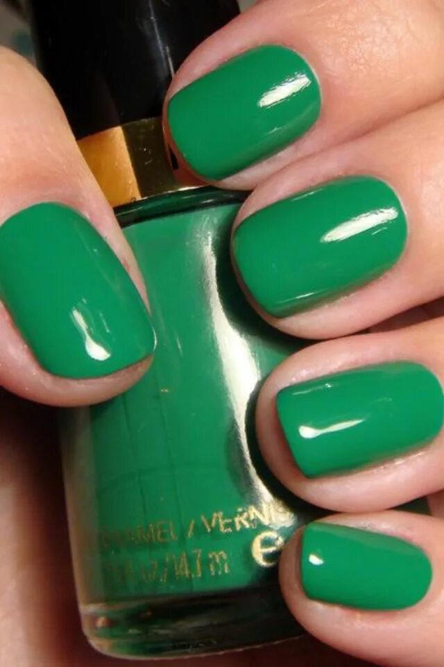 Оттенки зеленого цвета маникюра This green is nice!! Green nails, Nail polish, Green nail polish