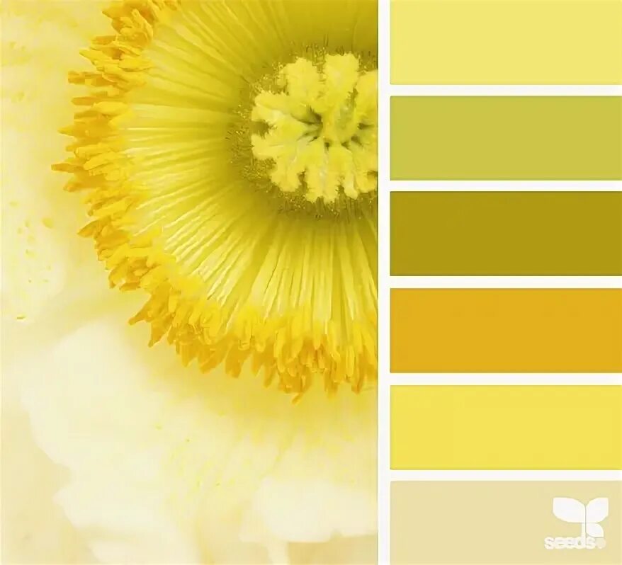 Оттенки желтого цвета палитра фото Pin by DuoParadigms PR & Design on Color Schemes Spring color palette, Design se