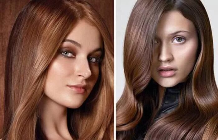 Оттенок волос молочный шоколад фото Pin by sophie on hair Hair styles, Hair, Beauty