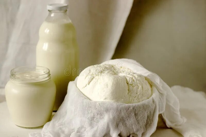 Отвешенная сметана фото Homemade Dairy Products: Cottage Cheese, Sour Cream and Milk on a White Backgrou