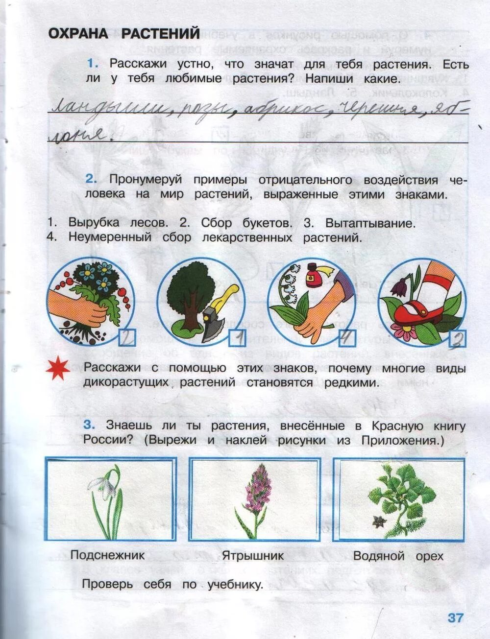 Ответы по фото окружающий мир 3 класс Картинки ОКР МИР ТЕТРАДЬ 3 КЛАСС