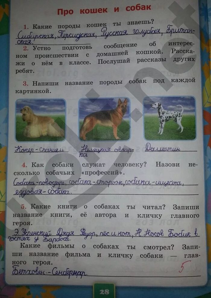 Ответы по фото окружающий мир 3 класс Окружающий мир страница 59 61