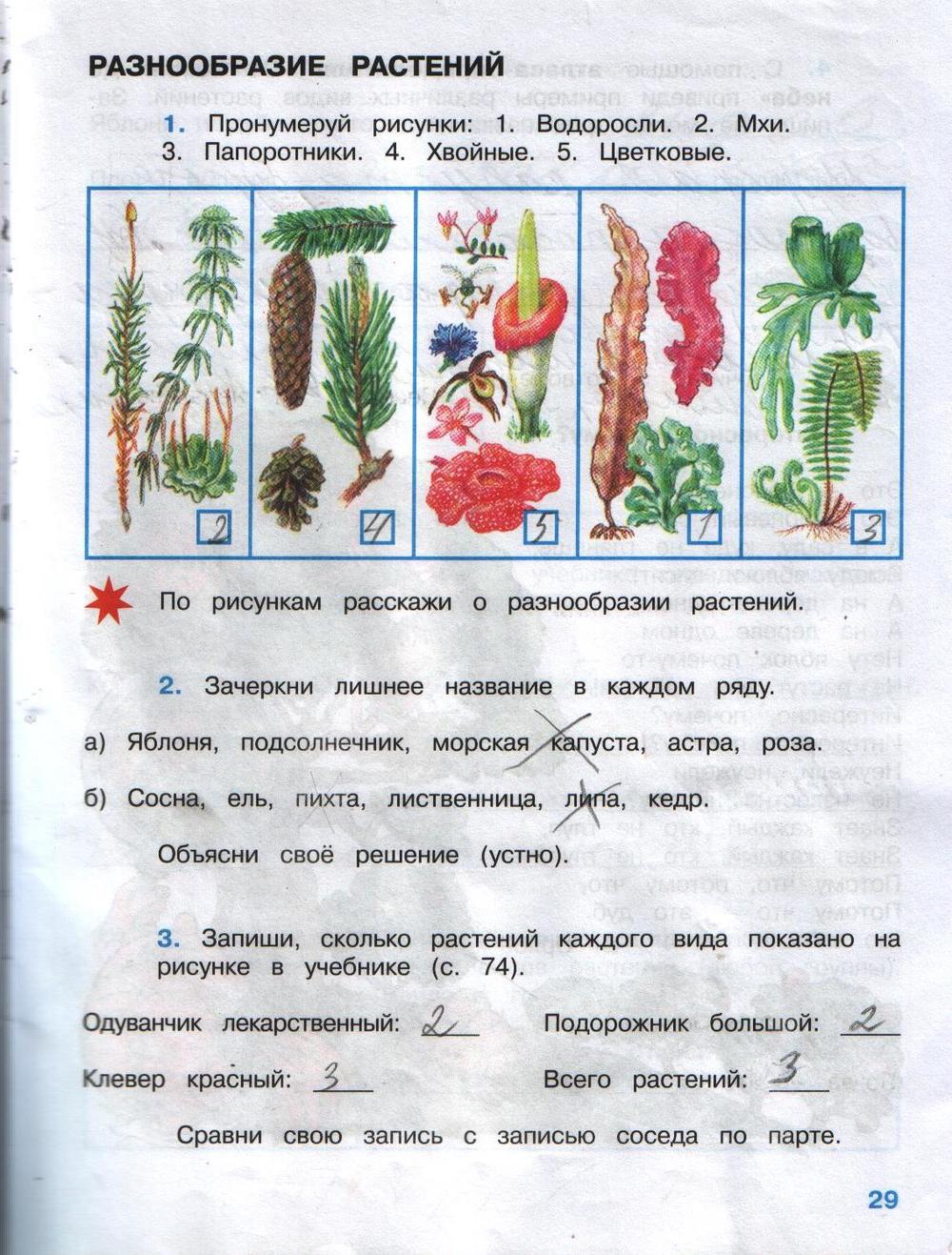 Ответы по фото окружающий мир 3 класс Картинки ОКРУЖАЮЩИЙ МИР РАБОЧАЯ ТЕТРАДЬ ГОТОВЫЕ ДОМАШНИЕ