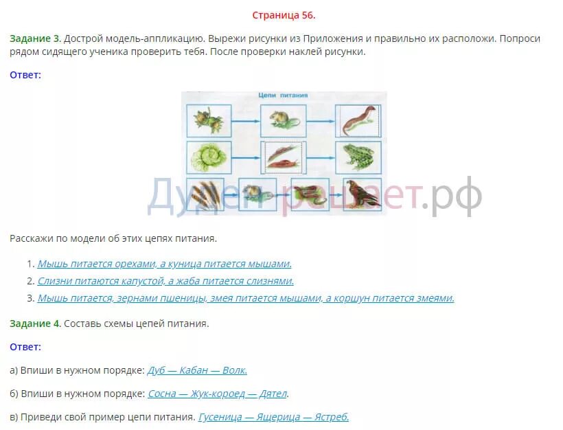 Ответы по фото окружающий мир 3 класс Кто что ест окружающий мир учебник