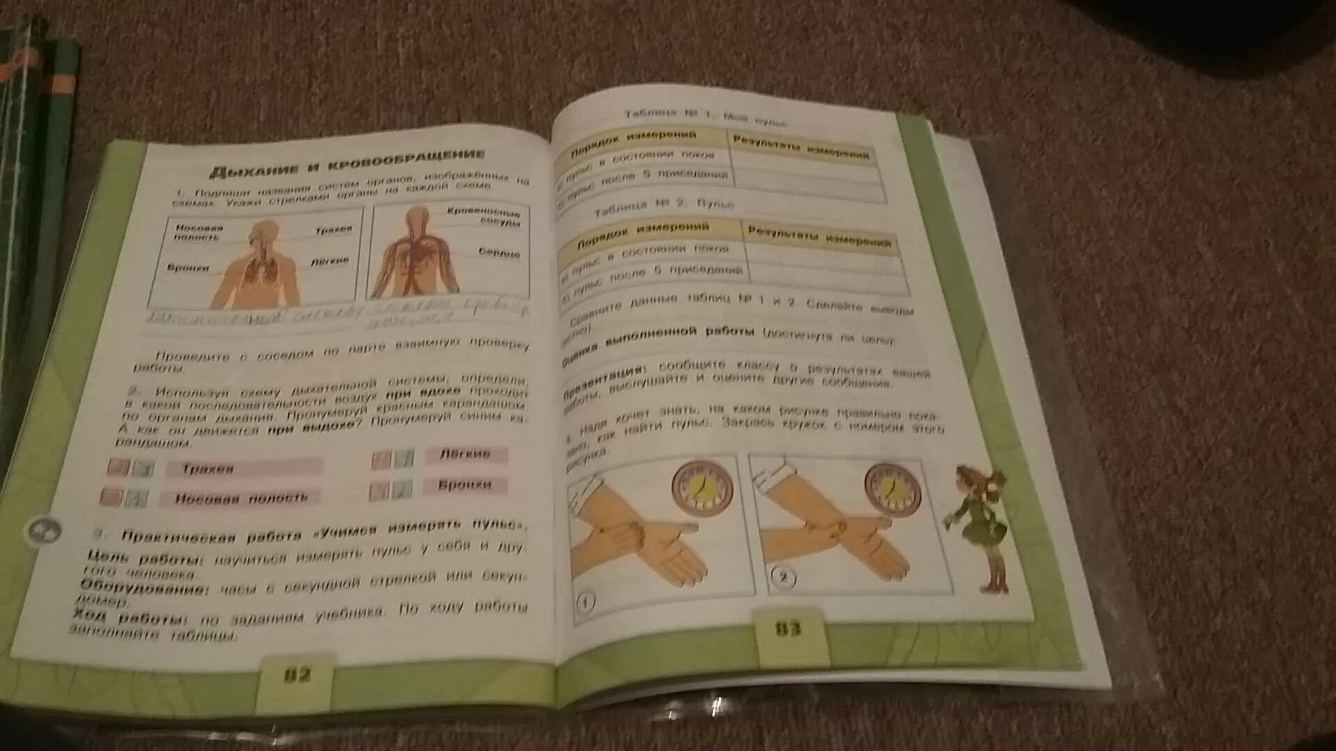 Ответы по фото окружающий мир 3 класс Окружающий мир 2 класс страница 82 83 проект
