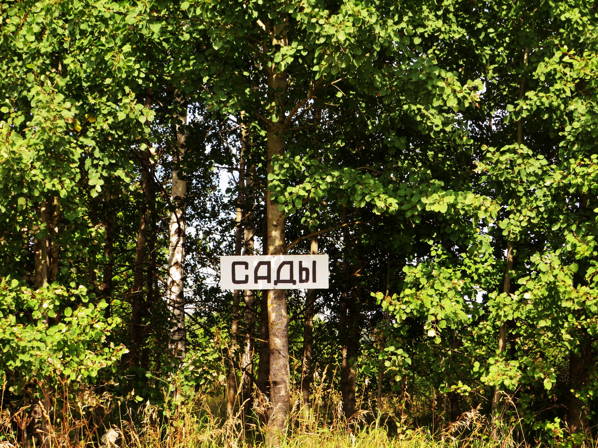 Отяково московская область можайский городской округ фото Фото: Барский сад, сад, Московская область, Можайский городской округ, деревня О