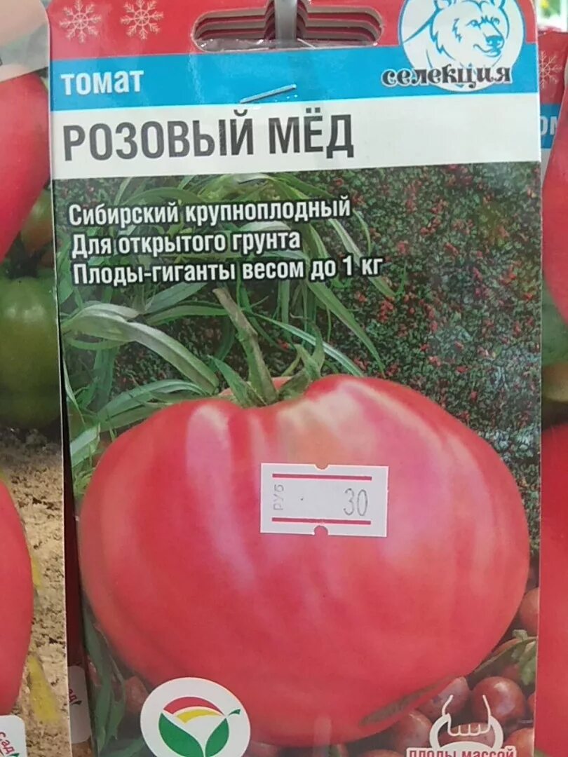 Отзывы фото достоинства недостатки томат розовый Томат розовый мед схема посадки