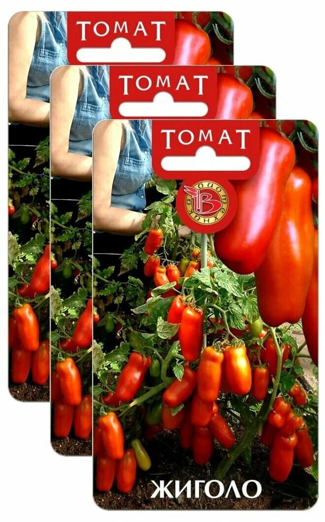 Отзывы помидор жигало фото Семена Томат Жиголо Биотехника 20 шт(3 пакета) - купить по выгодной цене на Янде