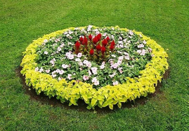 Овальная клумба фото Красивые клумбы - схемы идеально оформленной клумбы, фото ... Vegetable bed, Bea