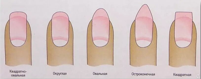 Овально квадратные ногти маникюр Изменение формы ногтей купить по цене 100 ₽ в Москве - ЯПокупаю