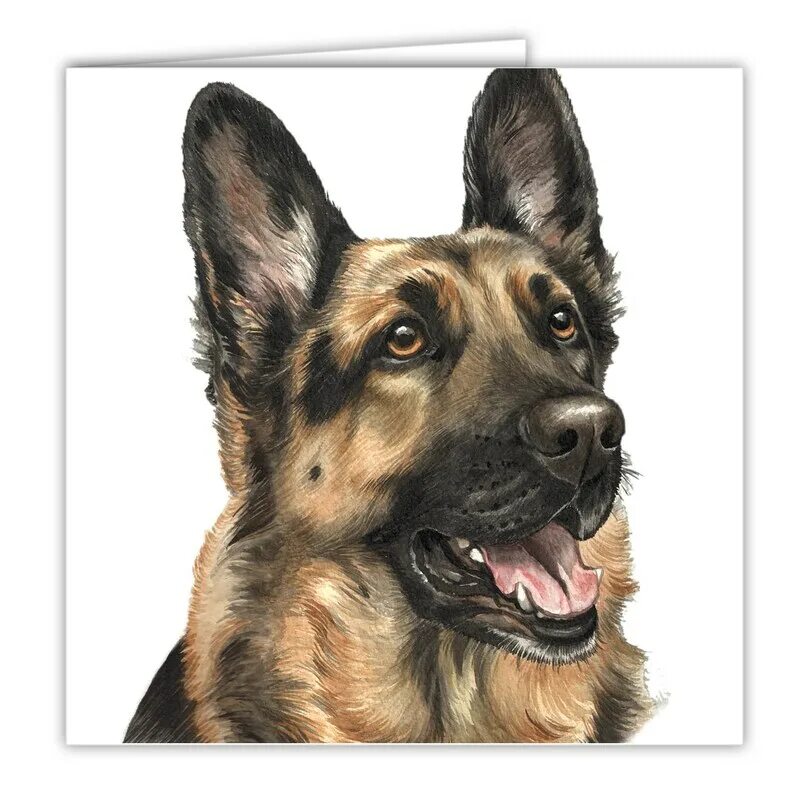 Овчарка фото рисунок Dog Cards German Shepherd 06 Greeting Cards greeting cards Etsy