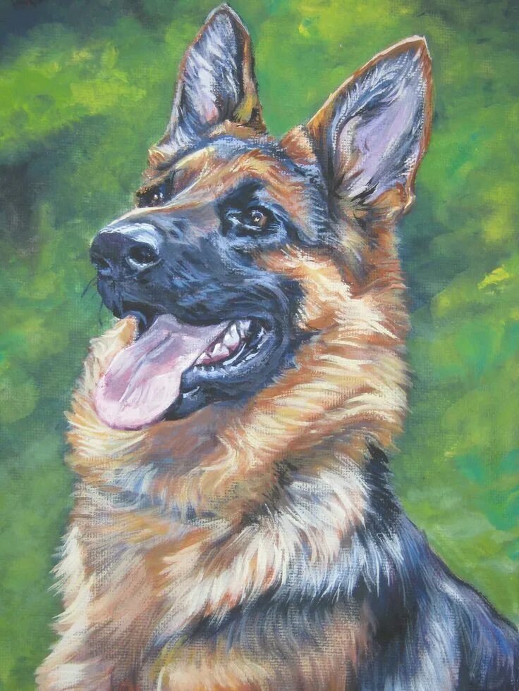Овчарка фото рисунок GSD German Shepherd Dog Art PORTRAIT Canvas PRINT of Lashepard Painting 12x16 Al