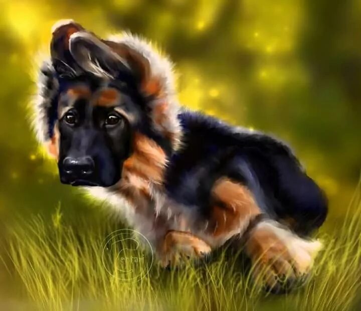 Овчарка фото рисунок Кто там? centari German shepherd art, German shepherd painting, German shepherd 