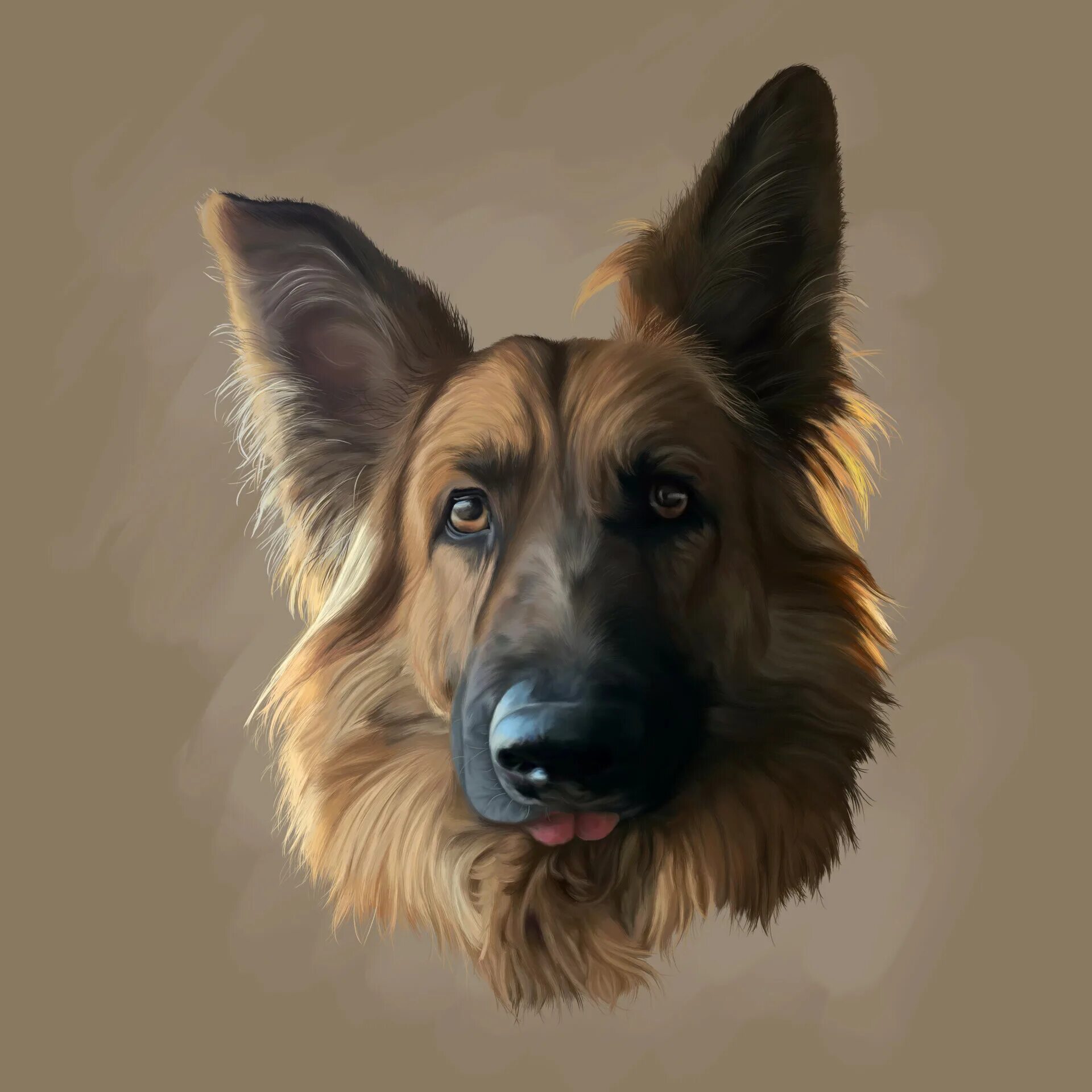 Овчарка фото рисунок ArtStation - Hyper-realistic German Shepherd Dog