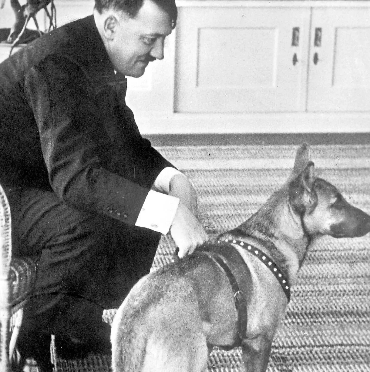 Овчарка гитлера блонди фото Evil Hitler at play: Smiling Nazi leader poses with children and relaxes at moun