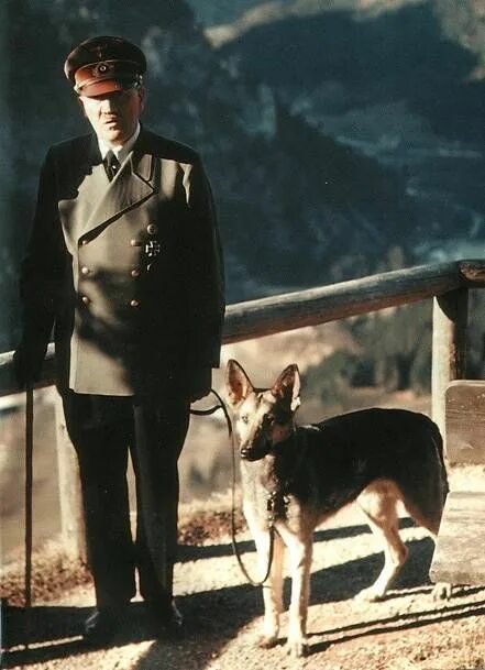 Овчарка гитлера блонди фото Adolf Hitler