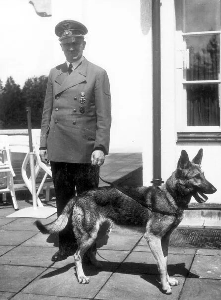 Овчарка гитлера блонди фото Adolf Hitler with his dog Blondie, which he gave in 1941, Martin Bormann. 2020 Т