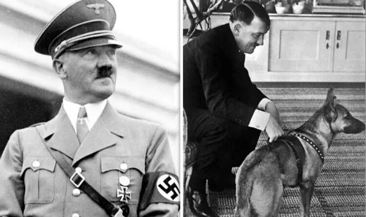 Овчарка гитлера блонди фото Hitler: The Last 10 Days new DVD release Films Entertainment Express.co.uk