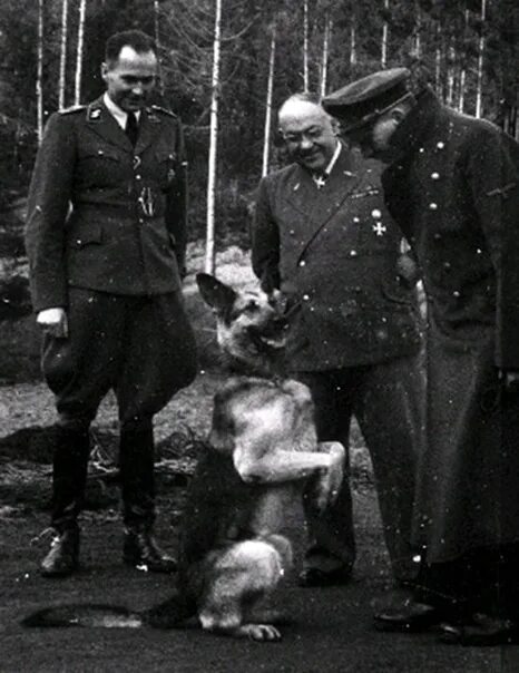 Овчарка гитлера блонди фото 20 апреля 1889 года родился Адольф Гитлер - немецкий государственный и политичес