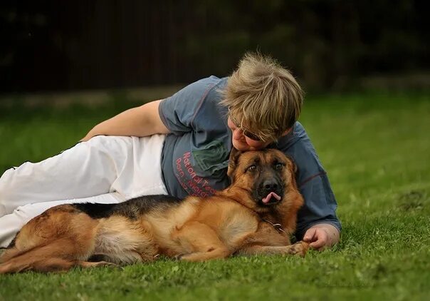 Овчарка немецкая фото с хозяином The most loyal friends in life are dogs and books. They both protect and enrich.