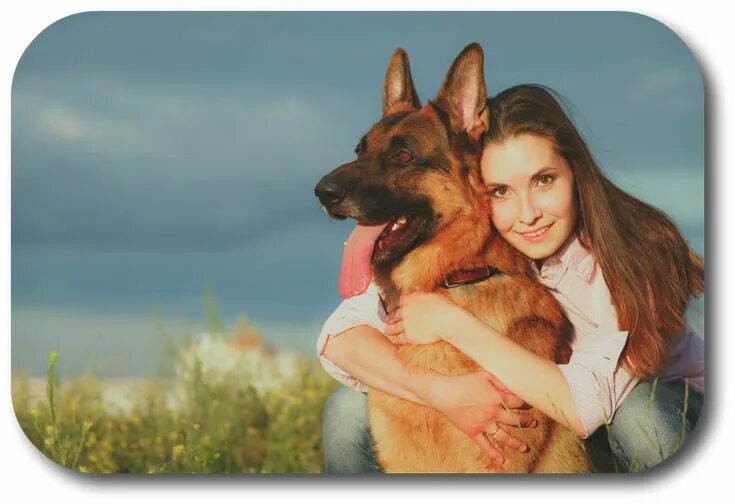 Овчарка немецкая фото с хозяином Dog Training Georgia Dog Obedience Trainer Georgia Dog Home Potty Training Georg