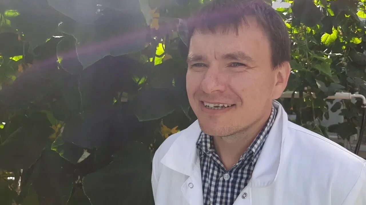 Овчаров игорь вольтович курск фото Опыт в тепличном комбинате "Сейм-Агро", Курск - YouTube