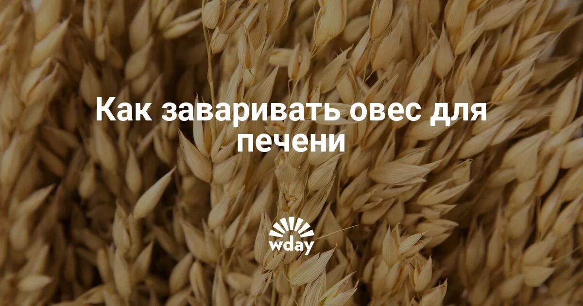 Овес для печени рецепт с фото Запарить овес как правильно - CoffeePapa.ru