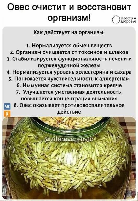 Овес для печени рецепт с фото Овес для печени рецепт заваривания как