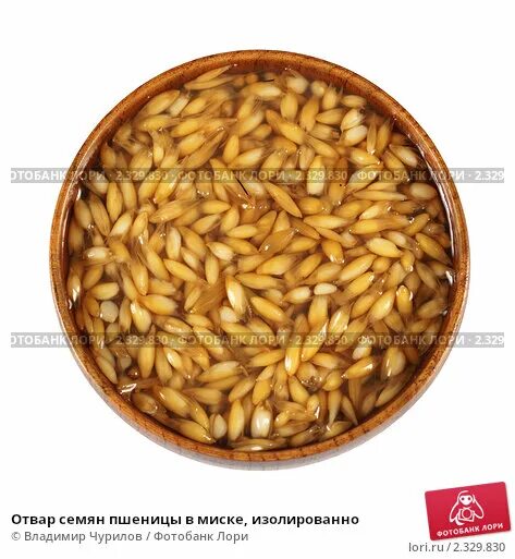 Овес для печени рецепт с фото Отвар семян пшеницы в миске, изолированно. Стоковое фото № 2329830, фотограф Вла