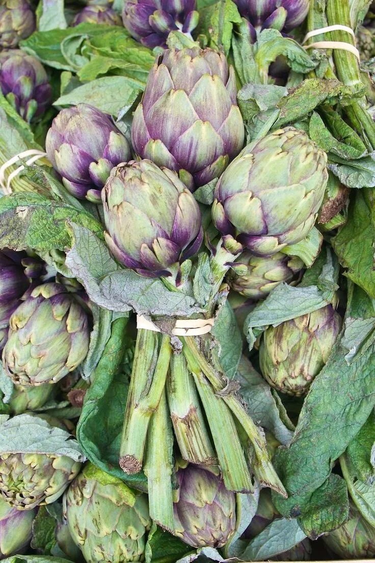 Овощ артишок фото Pin on Bancarelle al mercato Artichoke, Vegetable pictures, Fruit art