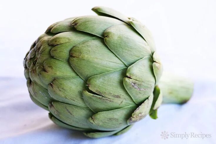 Овощ артишок фото All Thumbs With Artichokes? Here's How to Cook and Eat One Recipe Artichoke, Art