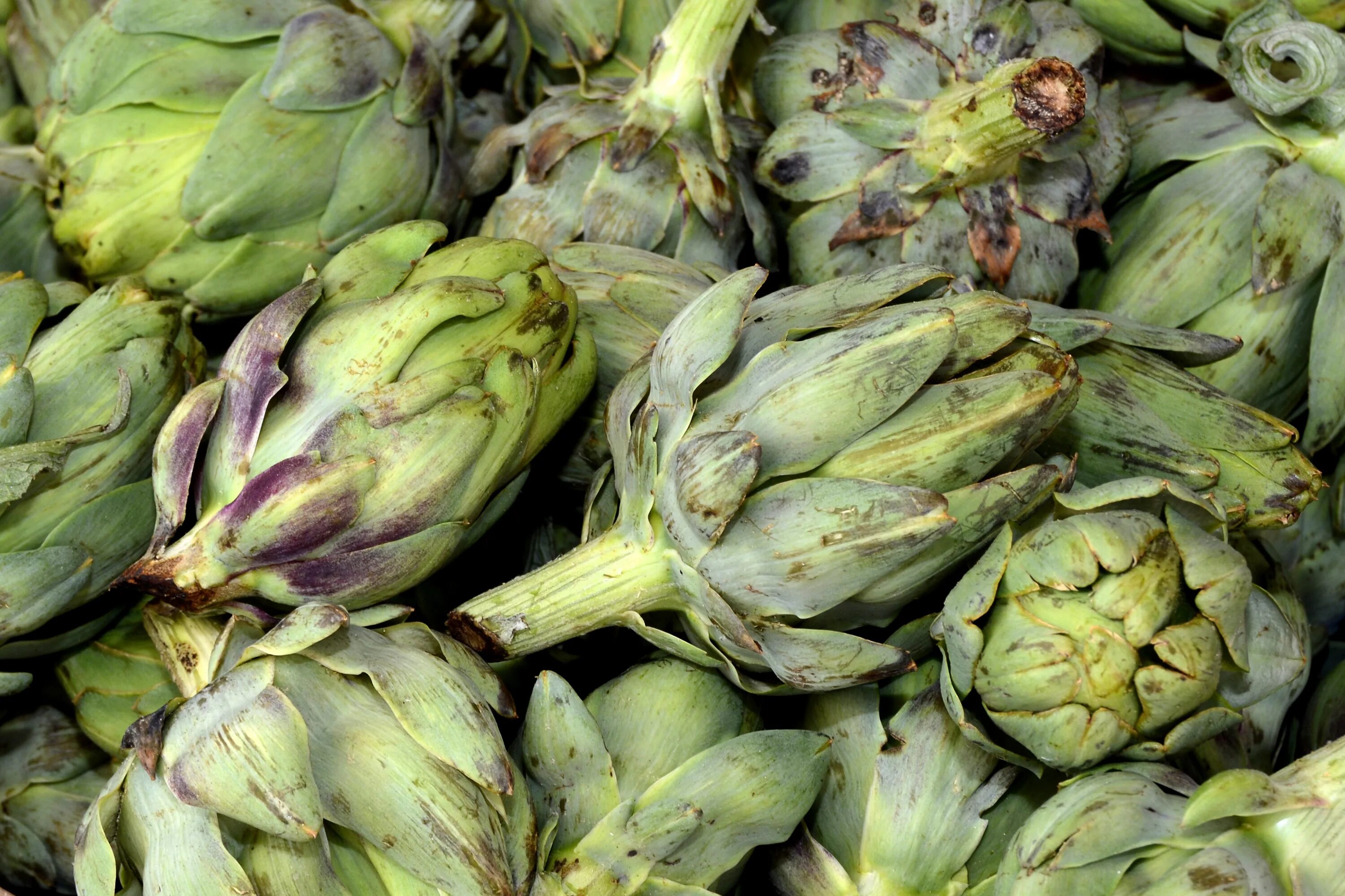 Овощ артишок фото Artichokes, Vegetables green close-up free image download