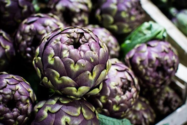 Овощ артишок фото Organic purple artichoke at a local farmers market Pictures of food * Foodiesfee